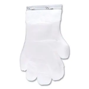 Poly Gloves on Wicket; Hand; Covering; Safety; Sanitary; Food-Service; Janitorial; Kitchens