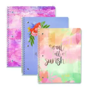 Diaries; Journals; Notebooks