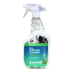 Maintenance; Facilities; Upkeep; Restroom; Kitchen; Cleansers