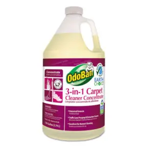 Carpet Cleaner; Maintenance; Facilities; Upkeep; Restroom; Kitchen; Cleansers