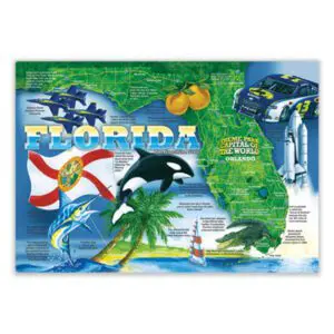 Protective; Coverings; Runners; Spreads; Guards; Flooring