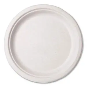 Kitchen Supplies; Paper Plates; Breakrooms; Dishes; Hospitality; Kitchens; Parties; Table-Service