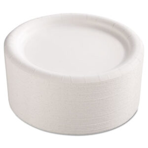 Premium Coated Paper Plates; Kitchen Supplies; Breakrooms; Dishes; Hospitality; Kitchens; Parties; Table-Service