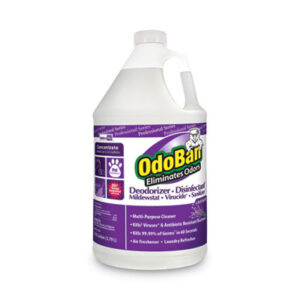 Deodorizer-Disinfectant; Maintenance; Facilities; Upkeep; Restroom; Kitchen; Cleansers