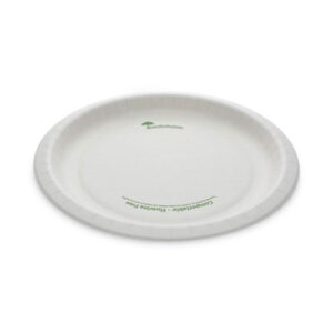 Dinnerware; Plate; Breakrooms; Dishes; Hospitality; Kitchens; Parties; Table-Service