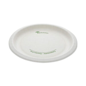 Dinnerware; Plate; Breakrooms; Dishes; Hospitality; Kitchens; Parties; Table-Service