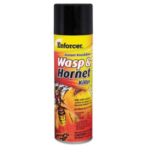 Wasps; Hornets; Yellow Jackets; Spray; Outdoors; Bugs; Control; Exterminators; Insects; Killers; Pests