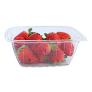 Compostable Food Service; Compostable PLA Clear Container; Biodegradable Food Service; PLA; Polylactic Acid; World Centric