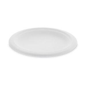 Dinnerware; Plate; Breakrooms; Dishes; Hospitality; Kitchens; Parties; Table-Service