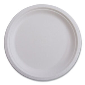 Plates; Bagasse; Natural Fiber; Breakrooms; Dishes; Hospitality; Kitchens; Parties; Table-Service