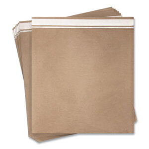 Mailer; Envelope; Mailing Envelope