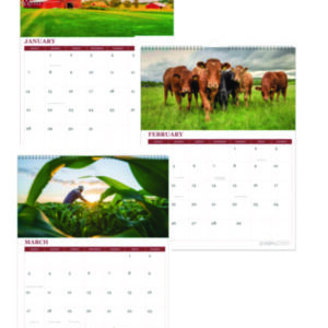 Wall Calendar; Monthly Wall Calendar; Animals; Cows; Pigs