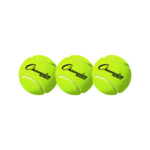 Tennis; PE; Education; Gym; Classes; Sports; Athletics; Schools; Teachers; Playground; Equipment