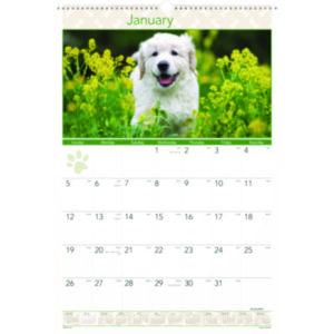 AT A GLANCE; Calendar; Calendars; Calendars/Planners; Full-Color Photographic Calendar; Monthly; Puppies Photos; Wall Calendar; Wirebound; Scheduling; Appointment Tracking; Time-Management; Dates; Reycled; Visual Organizer