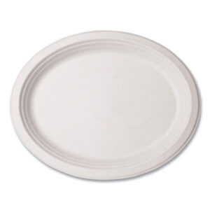 Kitchen Supplies; Paper Plates; Breakrooms; Dishes; Hospitality; Kitchens; Parties; Table-Service