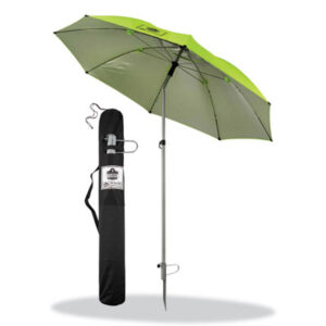 Brolly; Bumbershoot; Canopy; Gamp; Parapluie; Parasol; Sunshade