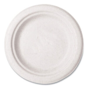 Kitchen Supplies; Paper Plates; Breakrooms; Dishes; Hospitality; Kitchens; Parties; Table-Service