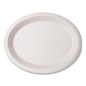 Kitchen Supplies; Paper Plates; Breakrooms; Dishes; Hospitality; Kitchens; Parties; Table-Service