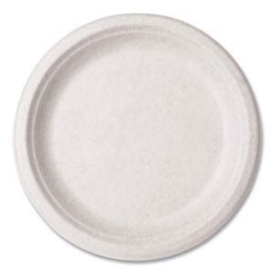 Kitchen Supplies; Paper Plates; Breakrooms; Dishes; Hospitality; Kitchens; Parties; Table-Service