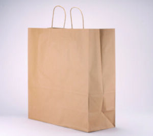 Bag; Shopping Bag; Handle Bag; Paper Bag