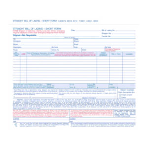 Bills of Lading; Shipping Invoices