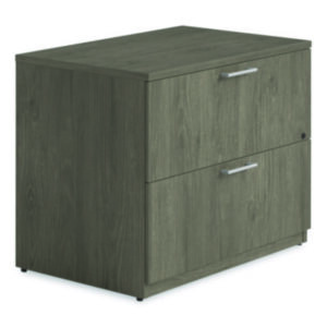 File Cabinet; Cabinet; Furniture; Filing; Organization; Filing Cabinet