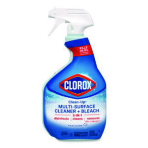 Clean-Up; Bleach; Bathrooms; Maintenance; Facilities; Upkeep; Restroom; Kitchen; Cleansers